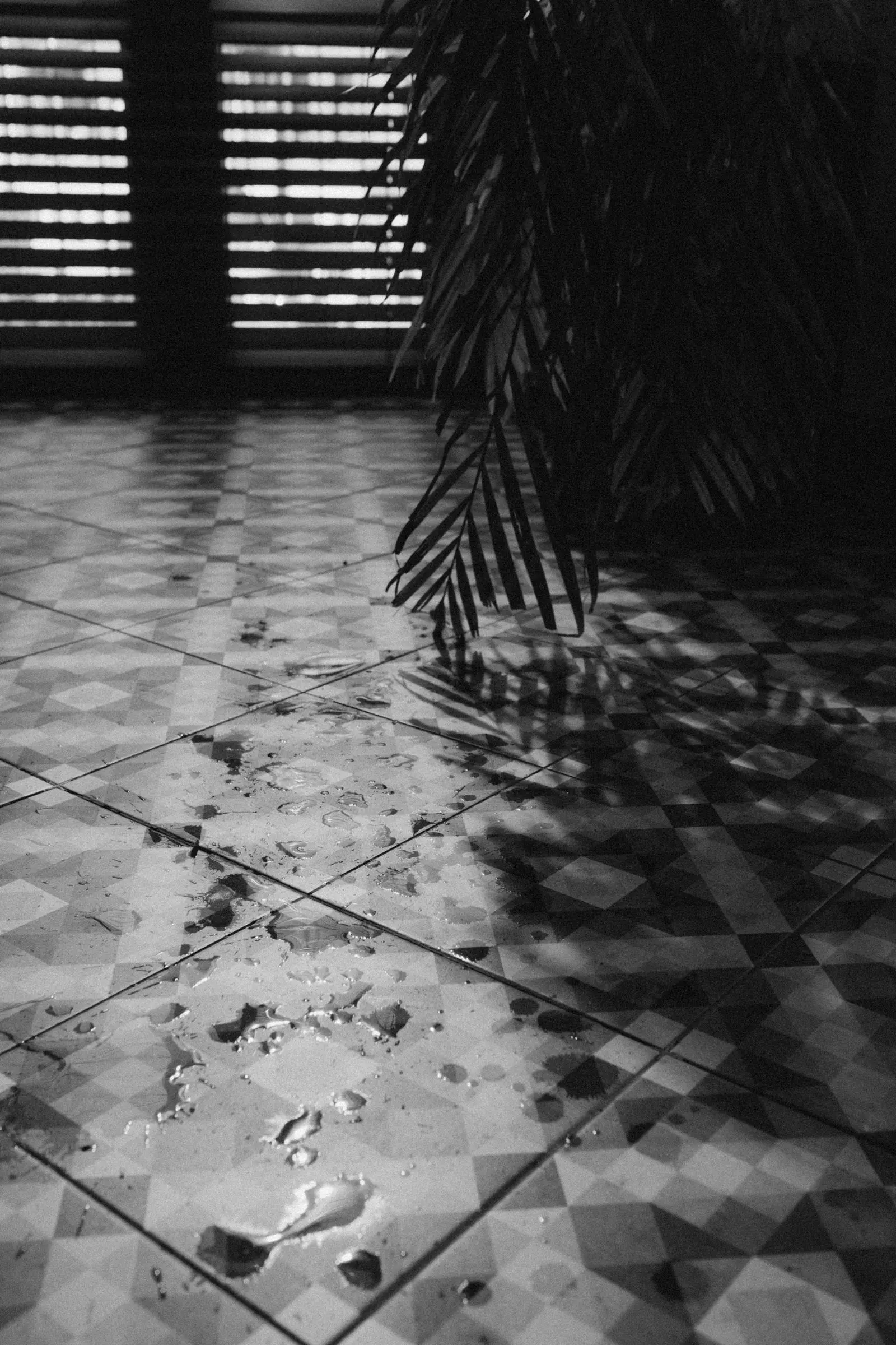 Water pooled on a tile floor